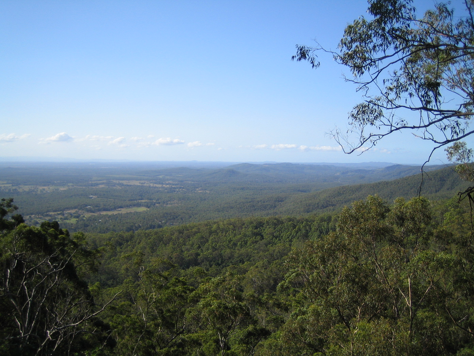 Mount Tamborine Bushwalk