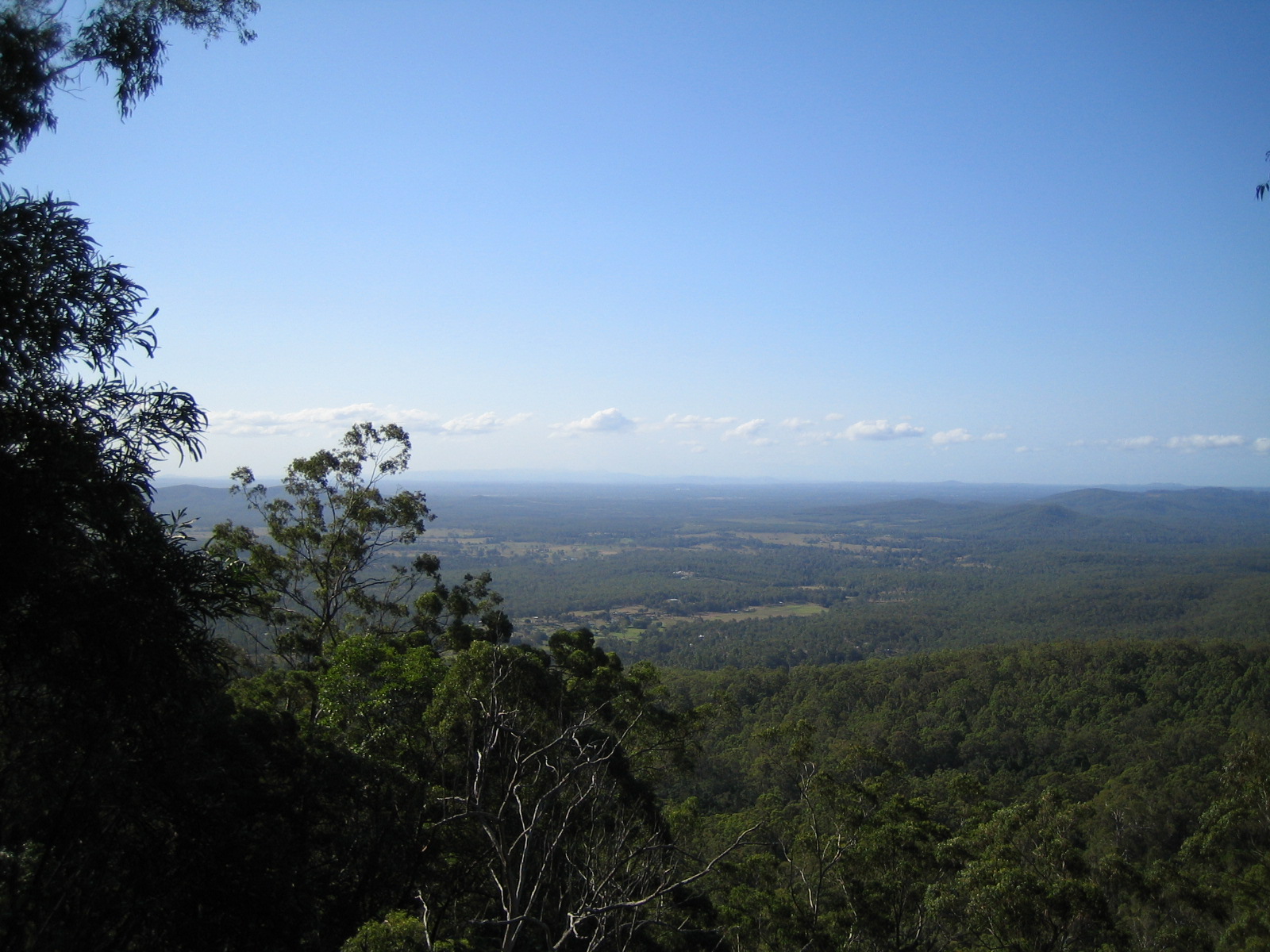 Mount Tamborine Bushwalk