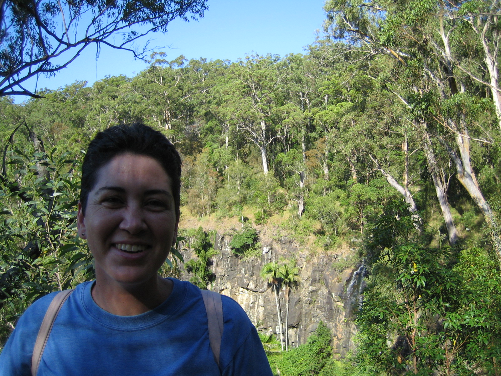 Mount Tamborine Bushwalk