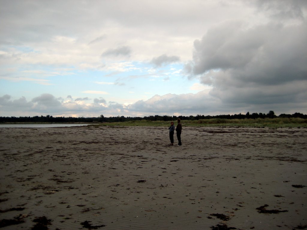 Sand Castles at Vig Beach
