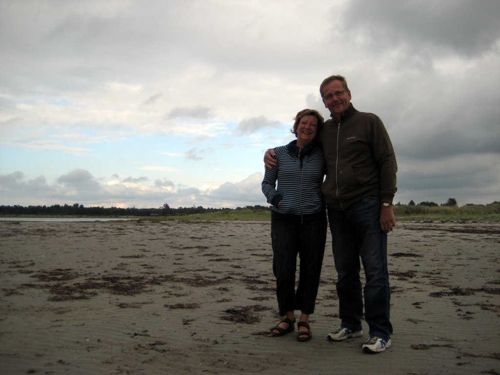 Sand Castles at Vig Beach