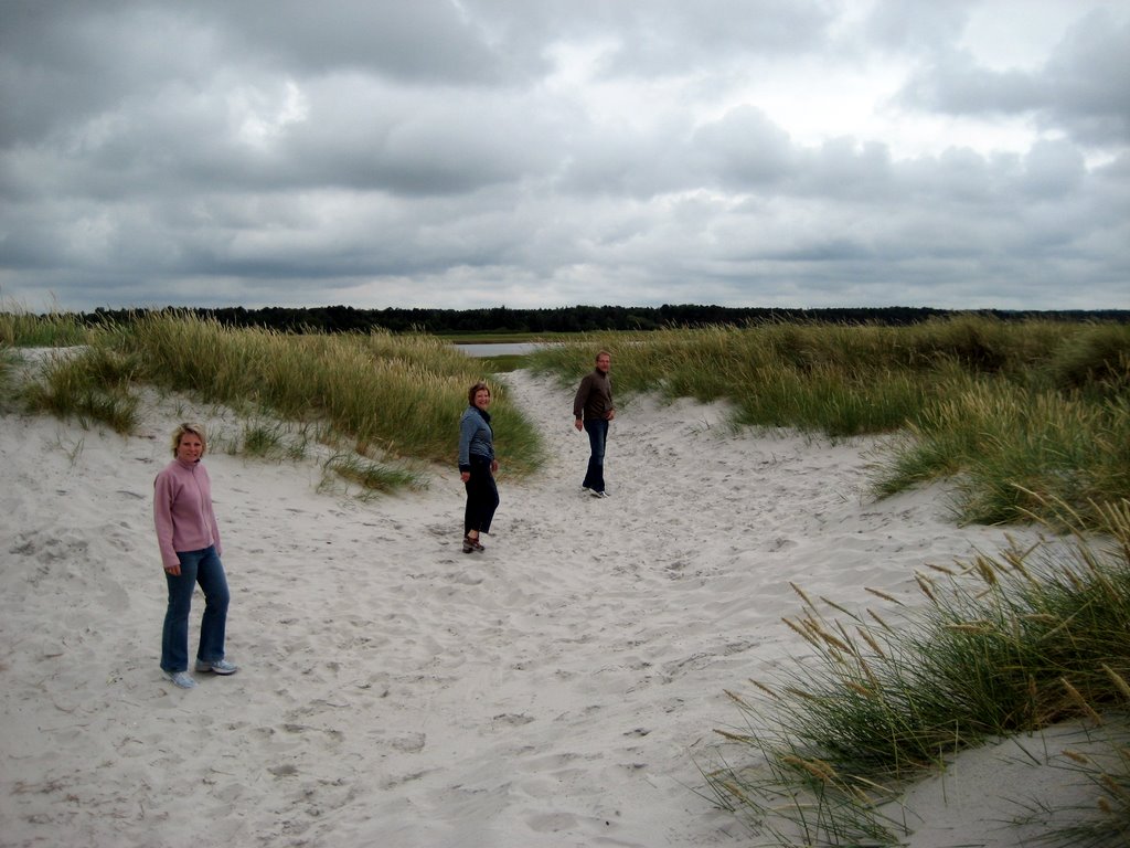 Sand Castles at Vig Beach