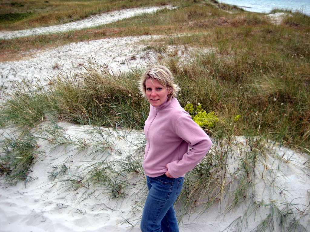 Sand Castles at Vig Beach