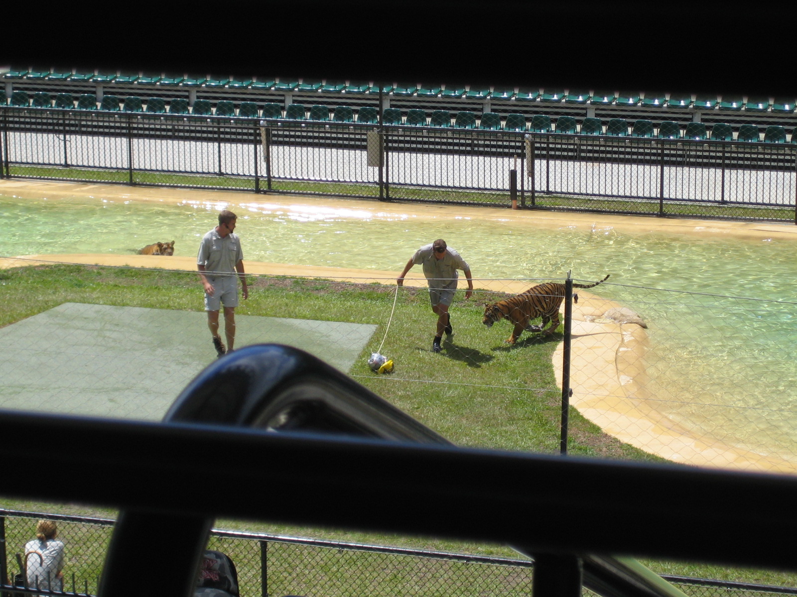 Australia Zoo: the Crocoseum
