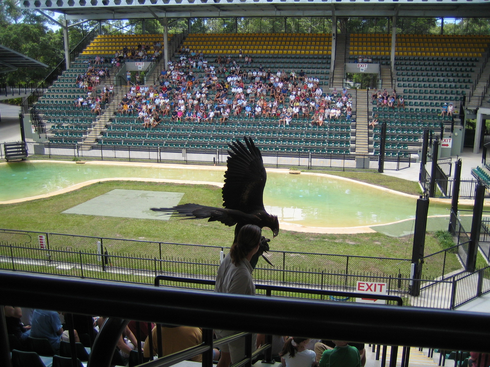 Australia Zoo: the Crocoseum