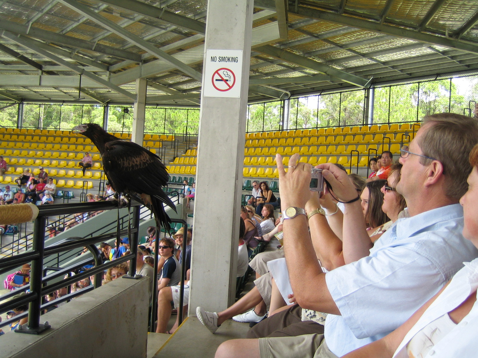 Australia Zoo: the Crocoseum