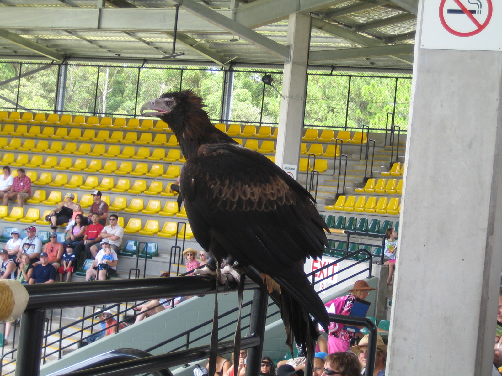 Australia Zoo: the Crocoseum