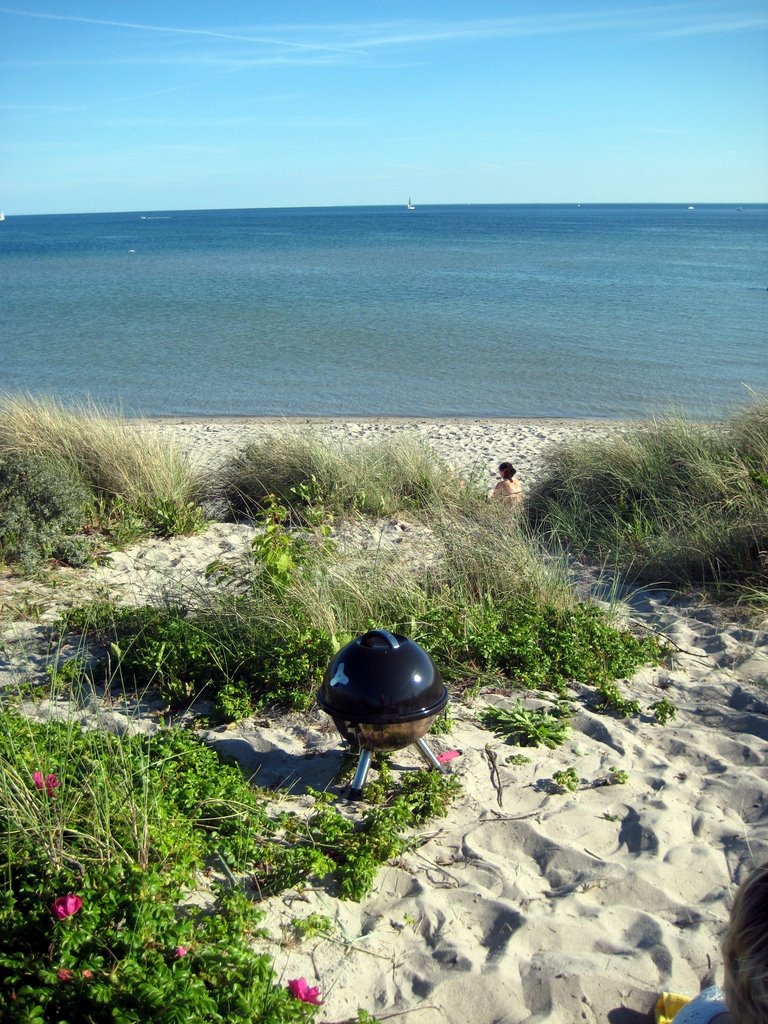 A trip to the Beach