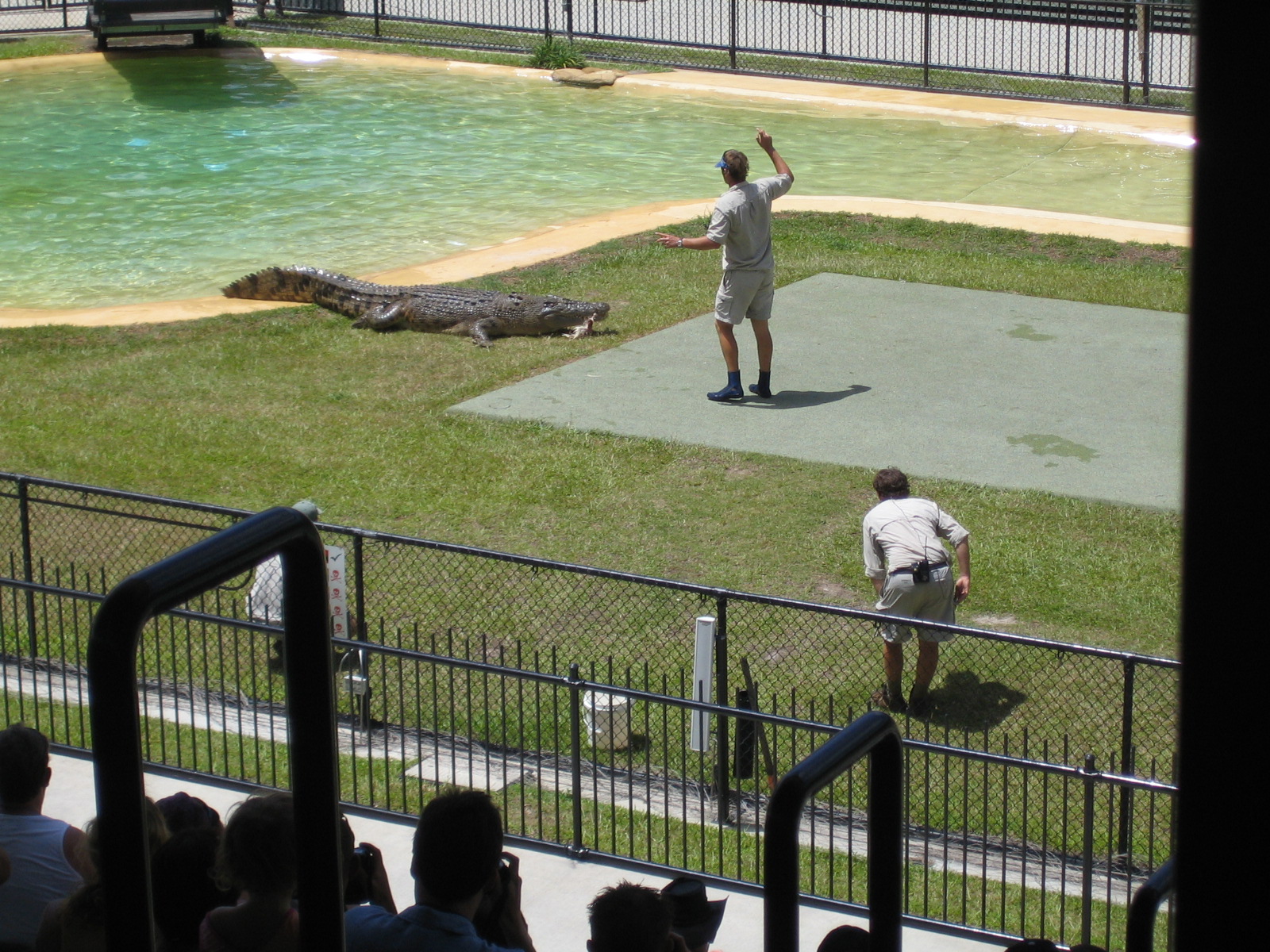 Australia Zoo: the Crocoseum