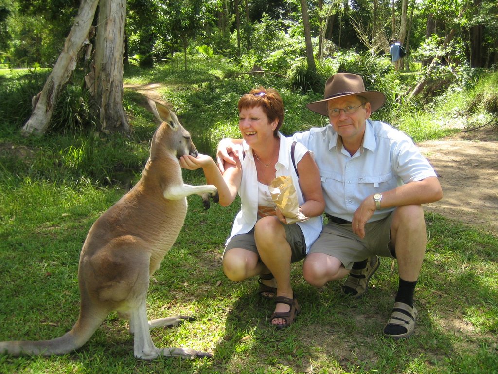 Australia Zoo: The Kangaroos
