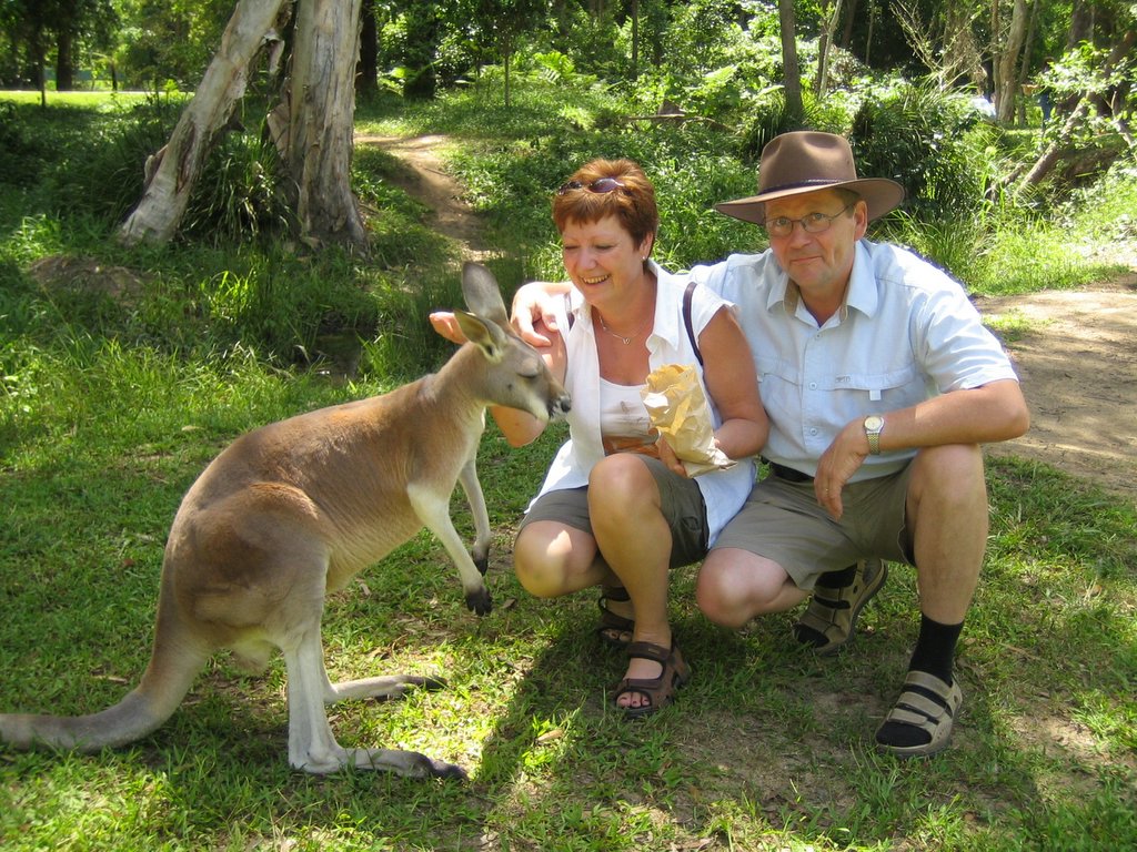 Australia Zoo: The Kangaroos