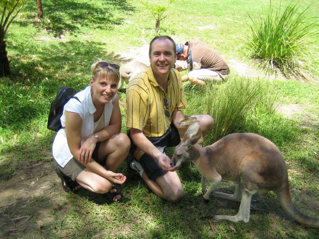 Australia Zoo: The Kangaroos