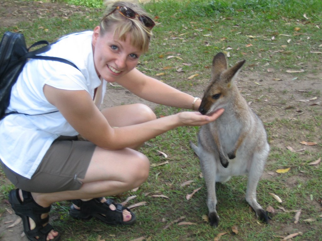 Australia Zoo: The Kangaroos
