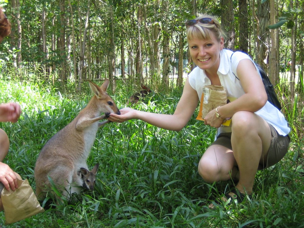 Australia Zoo: The Kangaroos
