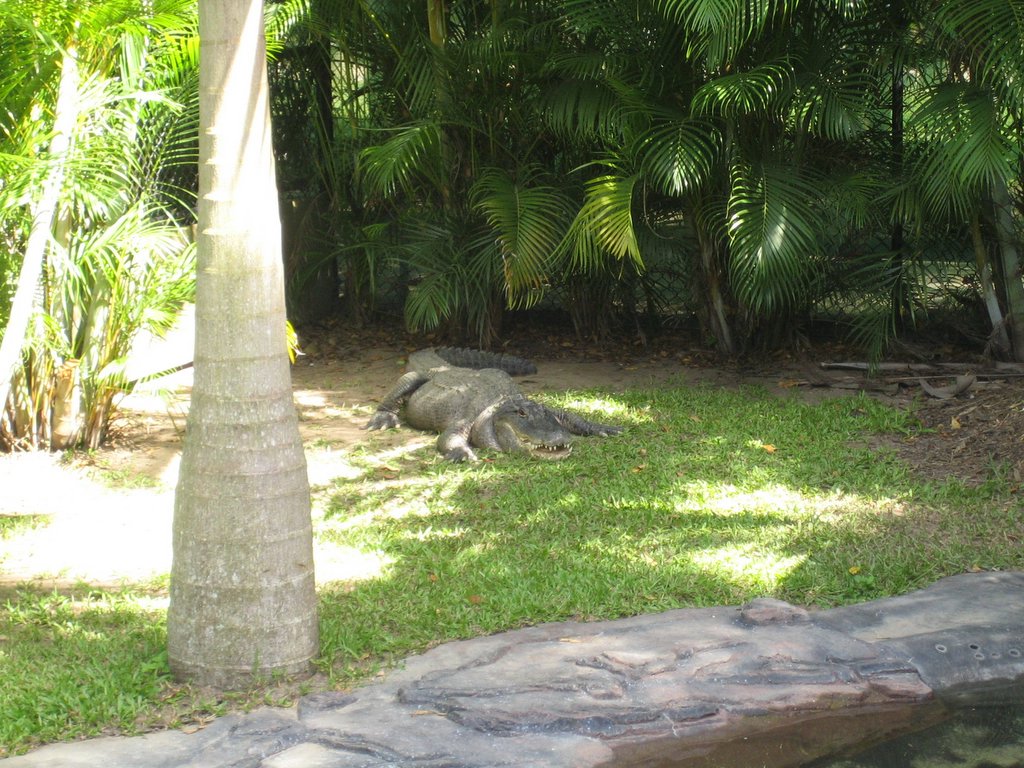 Australia Zoo: More animals