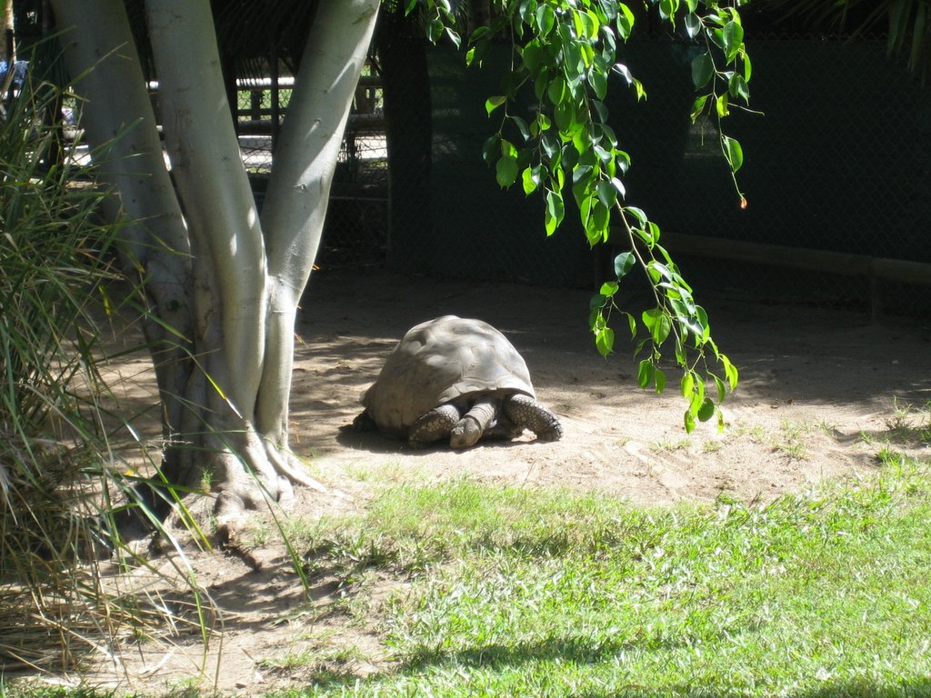 Australia Zoo: More animals