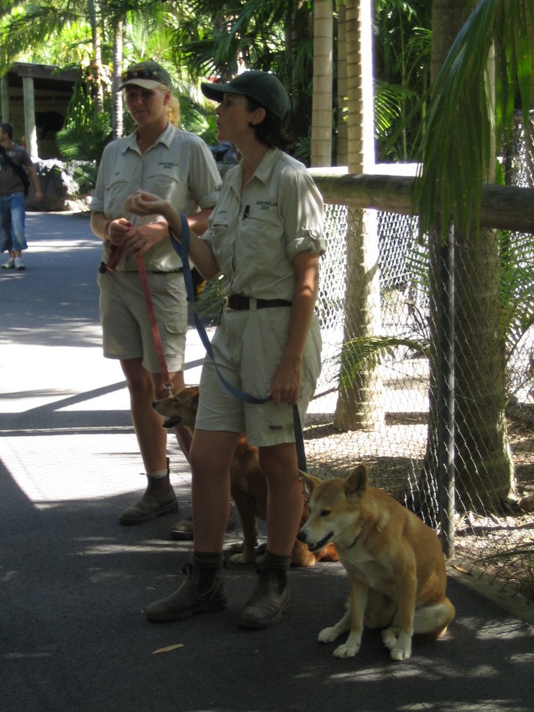 Australia Zoo: More animals