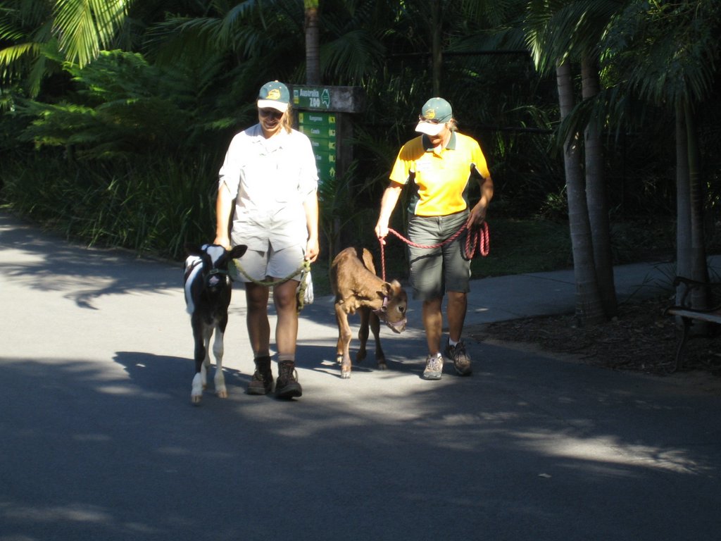 Australia Zoo: More animals