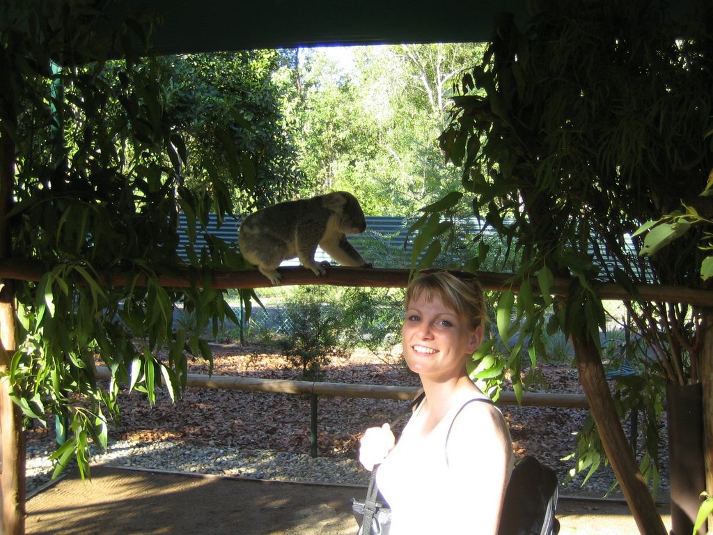 Australia Zoo: More animals