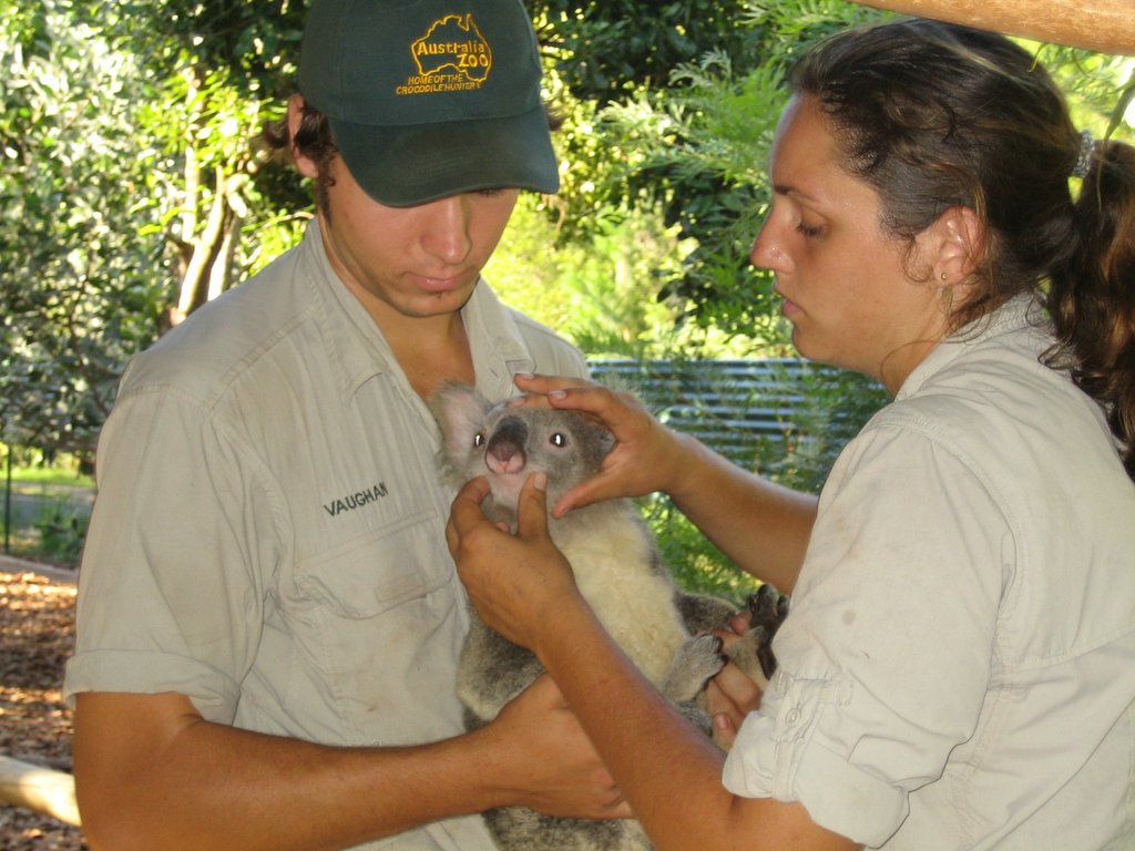 Australia Zoo: More animals