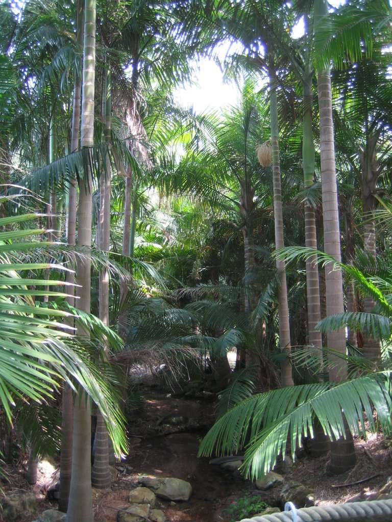 Mt. Coolum Kingdom Hall