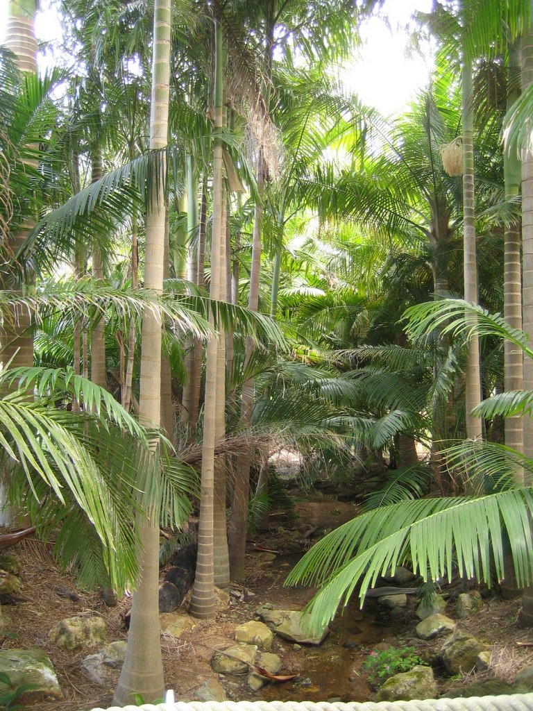 Mt. Coolum Kingdom Hall