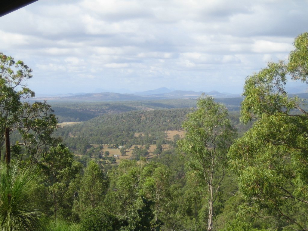 Cunningham's Lookout - nice chicken soup!