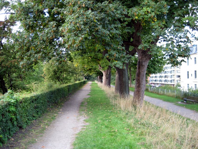 Christianshavn Field Service