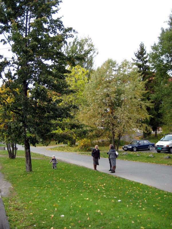 Out witnessing with the Oslo Farsi Group