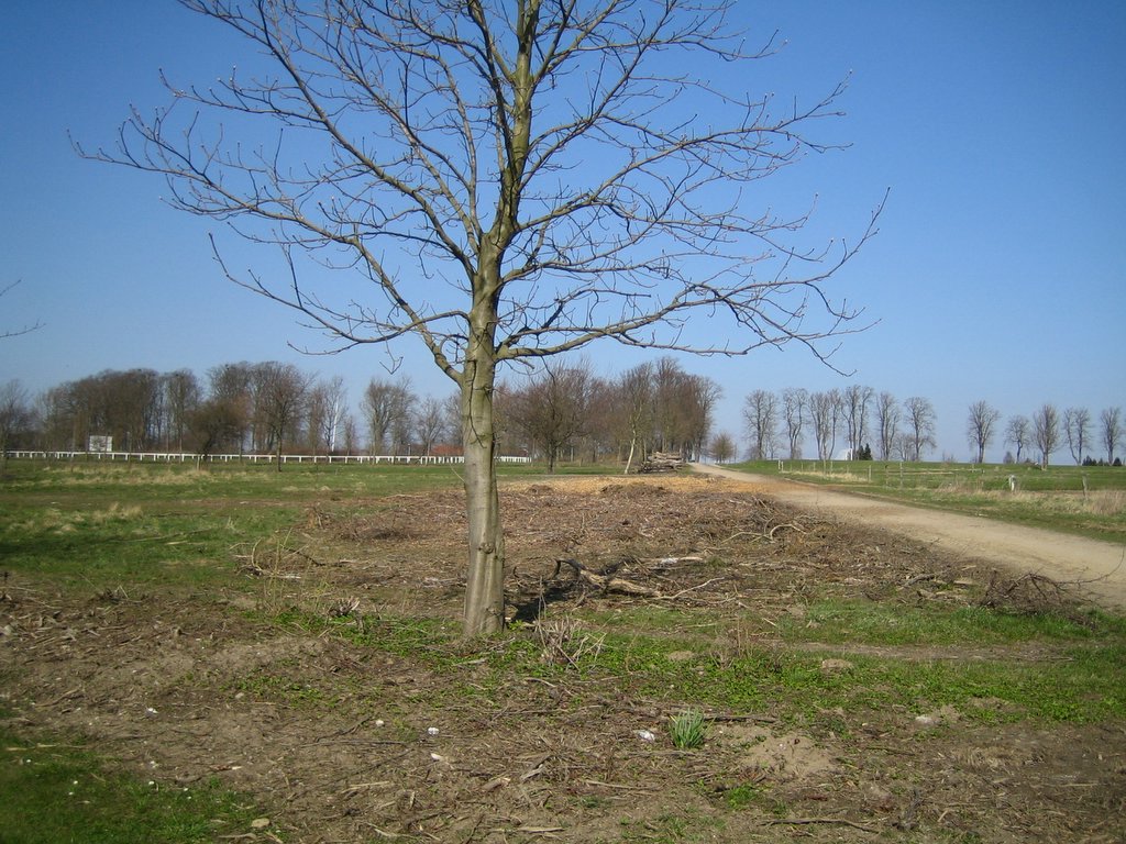 Countryside photos