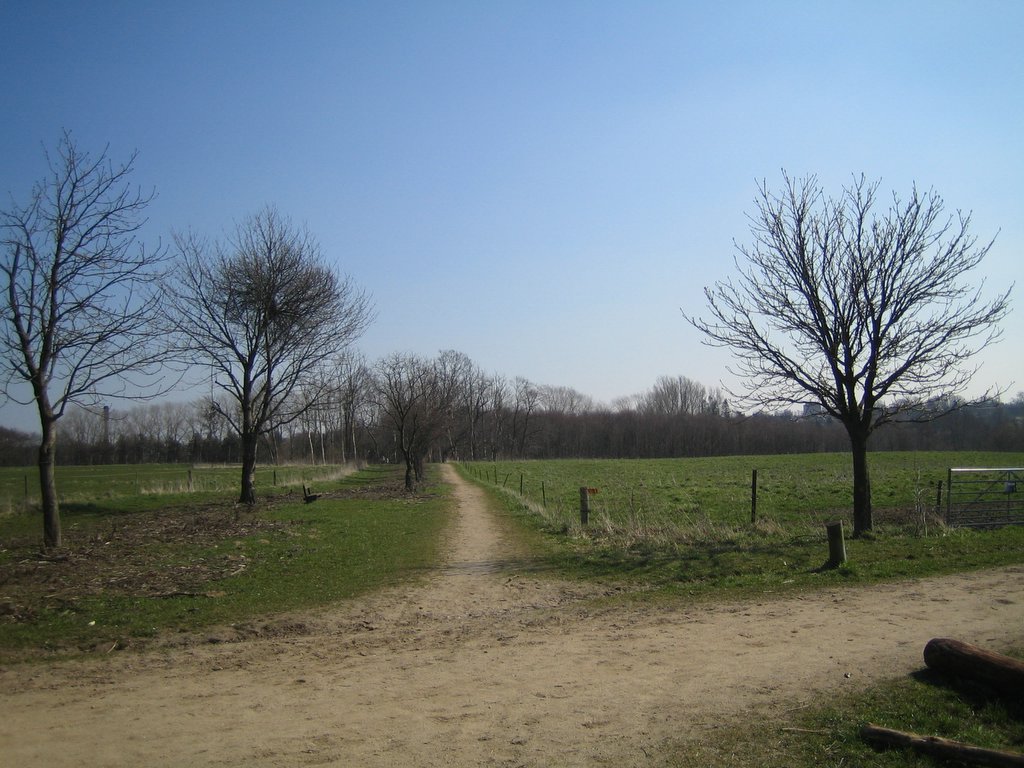 Countryside photos