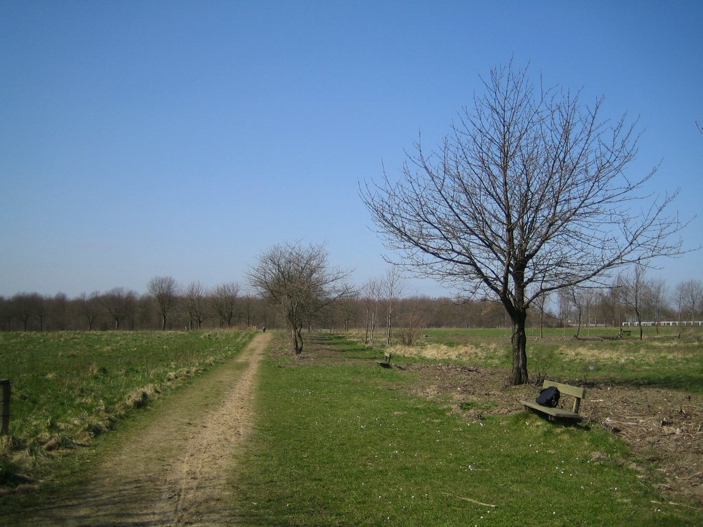 Countryside photos