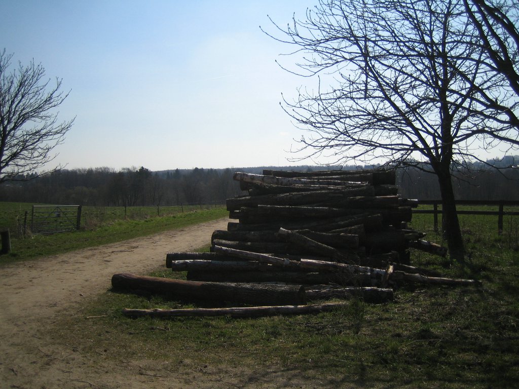 Countryside photos
