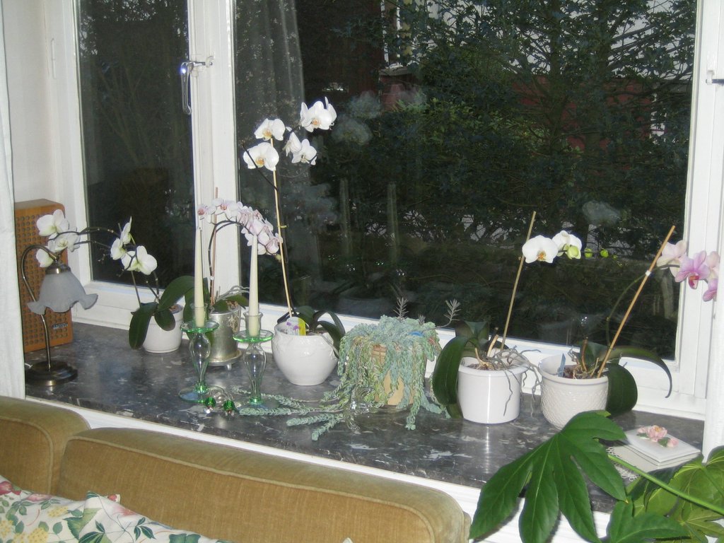 At home with Andreas and Erika