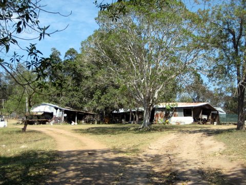 Rural witnessing near Laidley
