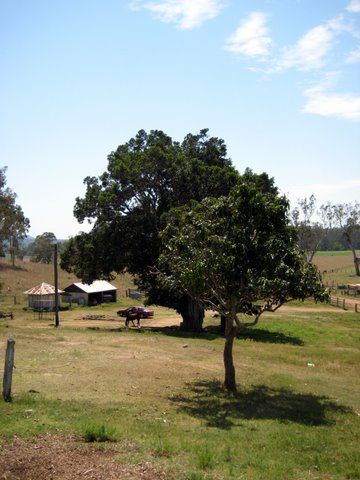 Rural witnessing near Laidley