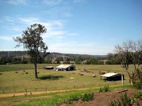 Rural witnessing near Laidley