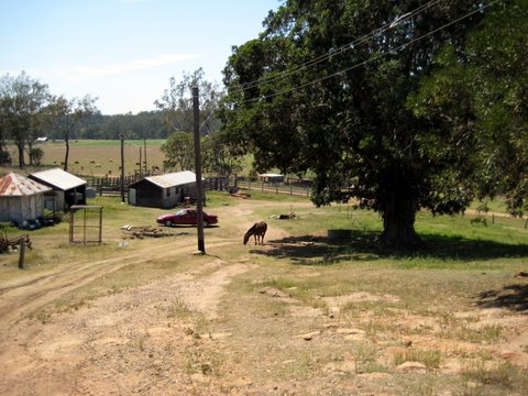 Rural witnessing near Laidley