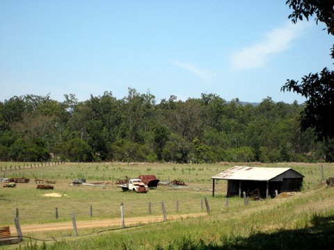Rural witnessing near Laidley