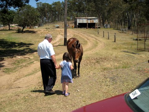 Rural witnessing near Laidley