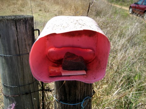 Rural witnessing near Laidley