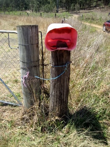 Rural witnessing near Laidley