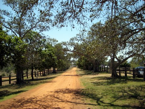 Rural witnessing near Laidley