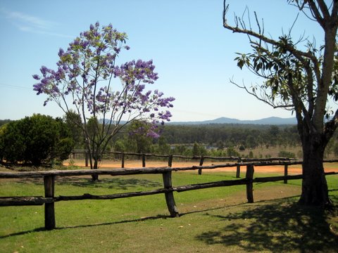Rural witnessing near Laidley