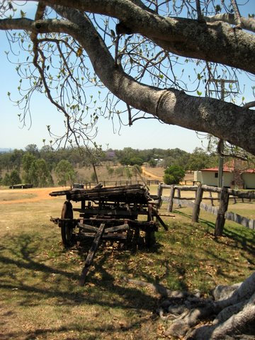 Rural witnessing near Laidley