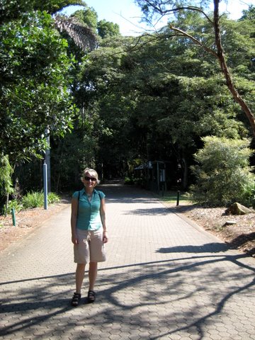 A trip into Brisbane