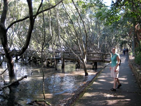 A trip into Brisbane
