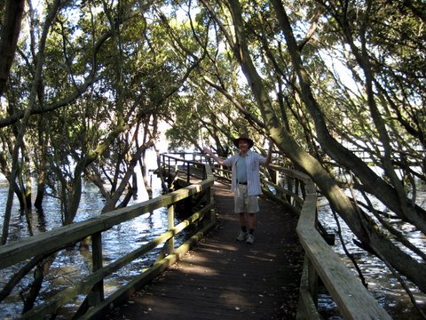 A trip into Brisbane
