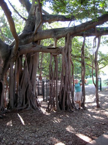 A trip into Brisbane