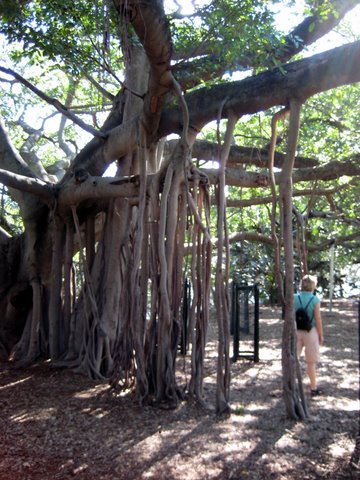 A trip into Brisbane